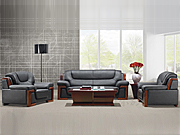 ��ͳ��Ƥɳ�� CG-SA8039S