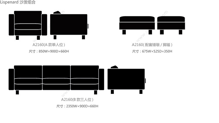 A2160-1_25.jpg