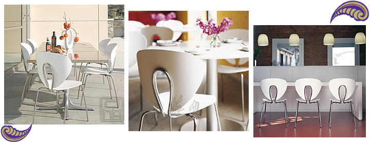 现代经典休闲椅|塑料休闲椅|办公家具|塑料单椅|塑料休闲椅,塑料椅,餐椅,会议椅,洽谈椅,单椅,餐厅椅,咖啡厅椅