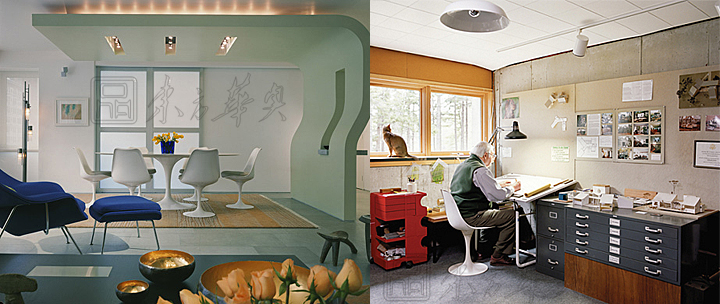 Modern Chair|Plastic Leisure Chair|Office Furniture|Leisure Chair|�������Σ��޷����������Σ����Σ�������